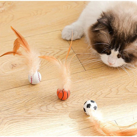 Interactive Bouncy Cat Toy