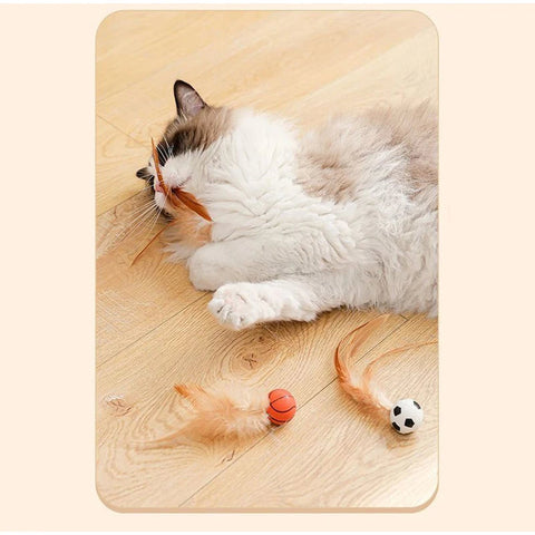 Interactive Bouncy Cat Toy